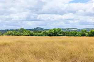 1556 Pfiester Rd, Fredericksburg, TX 78624 - Photo 61