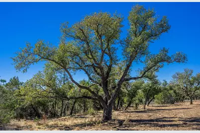 0000 Keese Rd, Fredericksburg, TX 78624 - Photo 3