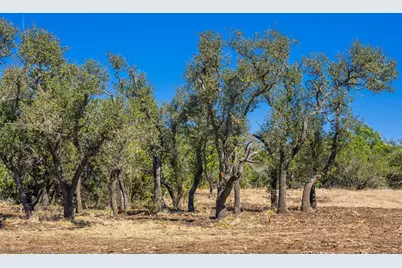 0000 Keese Rd, Fredericksburg, TX 78624 - Photo 9