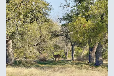 - Premier View Dr, Fredericksburg, TX 78624 - Photo 5