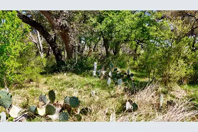 Tract 1 Ranch Rd 2233, Sunrise Beach, TX 78643 - Photo 27