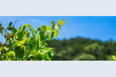 5081 Hwy 173, Center Point, TX 78010 - Photo 47