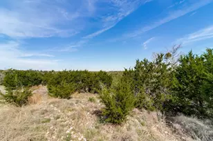 7991 Ranch Rd 965, Fredericksburg, TX 78624 - Photo 45