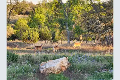 7991 Ranch Rd 965, Fredericksburg, TX 78624 - Photo 51