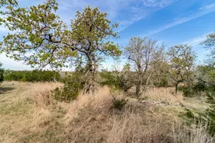 7991 Ranch Rd 965, Fredericksburg, TX 78624 - Photo 45