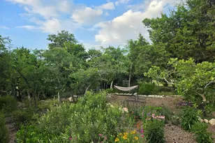 7991 Ranch Rd 965, Fredericksburg, TX 78624 - Photo 41