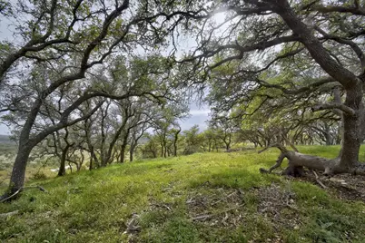 Tbd Kendalia Rd, Blanco, TX 78606 - Photo 9