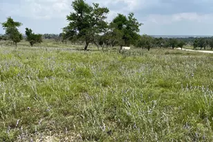 Lot 8 Sweet Wind Ln, Harper, TX 78631 - Photo 1