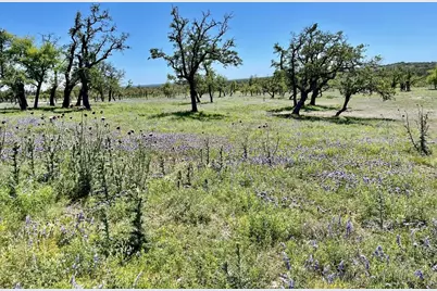 Lot 6 Jung Rd, Harper, TX 78631 - Photo 7