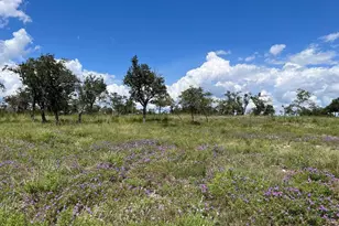 Lot 10 Sweet Wind Ln, Harper, TX 78631 - Photo 1