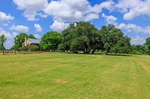249 Eureka Ln, Fredericksburg, TX 78624 - Photo 5