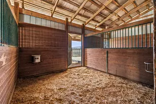 249 Eureka Ln, Fredericksburg, TX 78624 - Photo 33