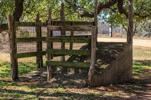249 Eureka Ln, Fredericksburg, TX 78624 - Photo 23