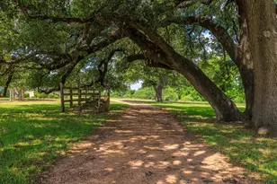249 Eureka Ln, Fredericksburg, TX 78624 - Photo 47