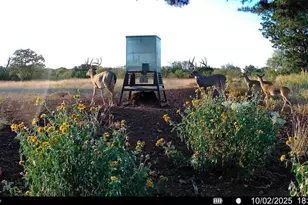 647 Funf Kinder Rd, Fredericksburg, TX 78624 - Photo 65