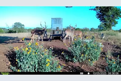 647 Funf Kinder Rd, Fredericksburg, TX 78624 - Photo 71