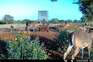 647 Funf Kinder Rd, Fredericksburg, TX 78624 - Photo 67