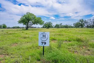 Lot 79 Stock Pond Dr, Harper, TX 78631 - Photo 1