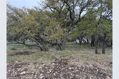 3150 Ranch Rd 783, Harper, TX 78631 - Photo 3