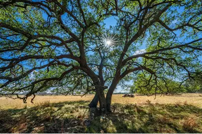 Lot 12 Turn Out Ln, Harper, TX 78631 - Photo 9