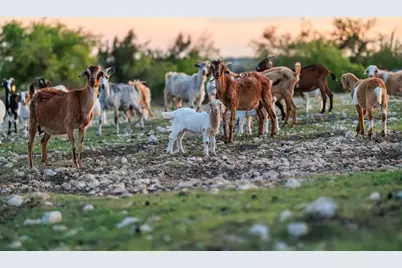 7158 S Hwy 87, Fredericksburg, TX 78624 - Photo 39