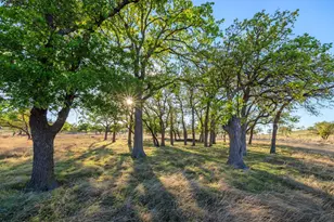 7158 S Hwy 87, Fredericksburg, TX 78624 - Photo 7