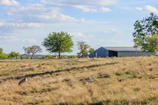 7158 S Hwy 87, Fredericksburg, TX 78624 - Photo 21