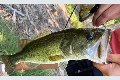 364 Wolf Creek Rd., Fredericksburg, TX 78624 - Photo 53