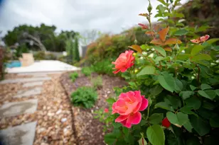 2208 Amberstone, Fredericksburg, TX 78624 - Photo 49
