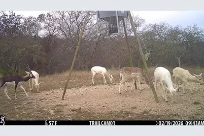 475 River Bend Rd, Hunt, TX 78024 - Photo 47