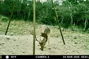 475 River Bend Rd, Hunt, TX 78024 - Photo 45