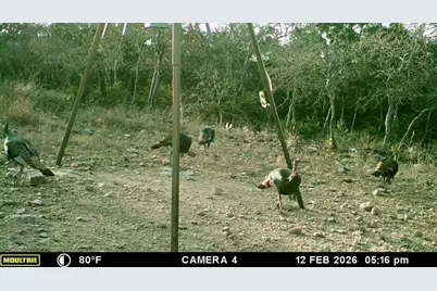 475 River Bend Rd, Hunt, TX 78024 - Photo 43