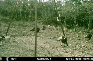 475 River Bend Rd, Hunt, TX 78024 - Photo 43