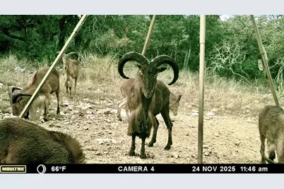 475 River Bend Rd, Hunt, TX 78024 - Photo 41