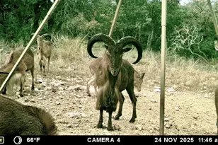 475 River Bend Rd, Hunt, TX 78024 - Photo 41