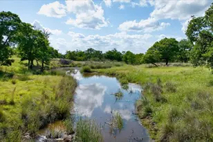 1411 Grape Creek Rd, Fredericksburg, TX 78624 - Photo 33