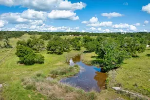 1411 Grape Creek Rd, Fredericksburg, TX 78624 - Photo 15