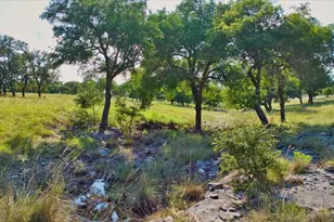 1411 Grape Creek Rd, Fredericksburg, TX 78624 - Photo 25