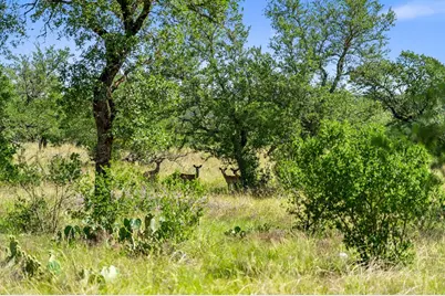 620 Rio Vista Rd, Johnson City, TX 78636 - Photo 3