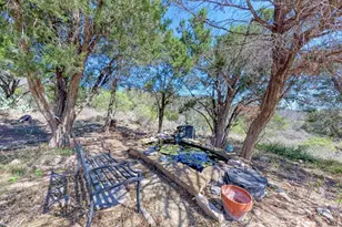 330 S Juniper Trail, Kingsland, TX 78639 - Photo 31