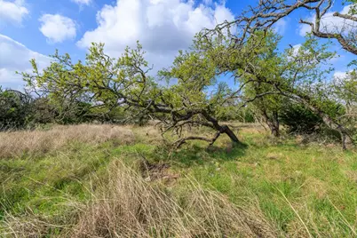 7 Duderstadt Rd, Harper, TX 78631 - Photo 5