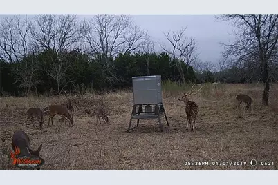 440 Chimney Valley Rd, Blanco, TX 78606 - Photo 15