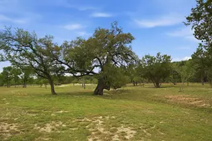134 Stallion Estates Dr, Spring Branch, TX 78070 - Photo 47