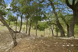 134 Stallion Estates Dr, Spring Branch, TX 78070 - Photo 49