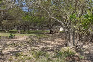 222 Spanish Oak Trail, Harper, TX 78631 - Photo 41