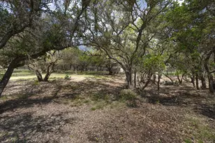 222 Spanish Oak Trail, Harper, TX 78631 - Photo 41