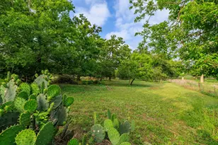 514 Knopp School Rd, Fredericksburg, TX 78624 - Photo 43