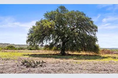 6600 US Hwy 290, Dripping Springs, TX 78620 - Photo 5