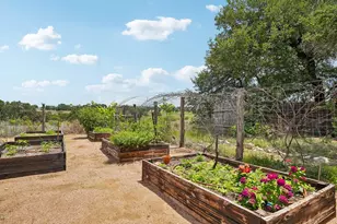 162 Flowering Sage Ln, Fredericksburg, TX 78624 - Photo 53