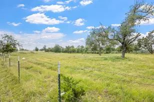 815 Nixon Creek Rd, Fredericksburg, TX 78624 - Photo 41